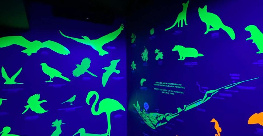 Faro Story Spot - Multimedia Museum&Restaurant: Tour&Tasting - The included tastings: two options, both Algarve-forward