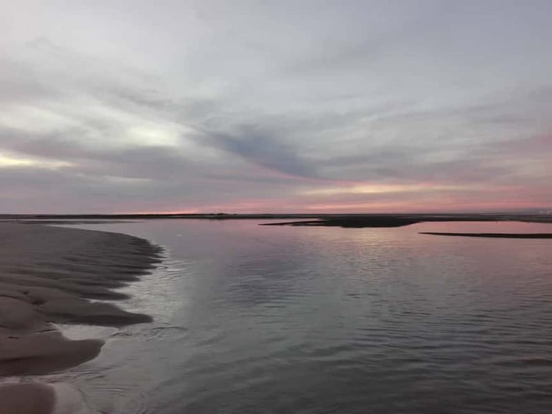 Faro: Sunset 1 hour Ria Formosa Boat Tour - What happens during the boat cruise before sunset