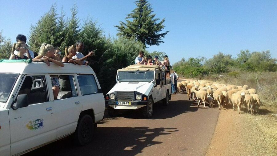 From Albufeira: 4x4 Off-Road Safari & Vineyard Wine Tasting - Algarve inland in one afternoon: how this 4x4 safari flows