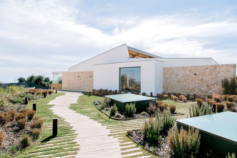 From Albufeira: 4x4 Off-Road Safari & Vineyard Wine Tasting - Orange groves, villages, and cork forests: the sights that feel different