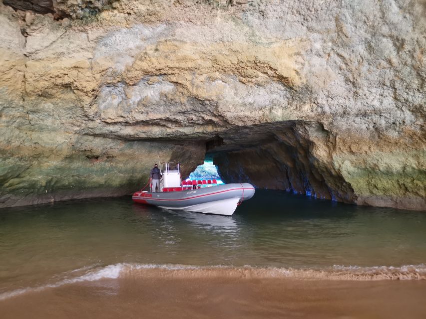 From Albufeira: Benagil Caves and Dolphins Guided Boat Tour - Entering the Caves: How the Boat Design Changes Everything