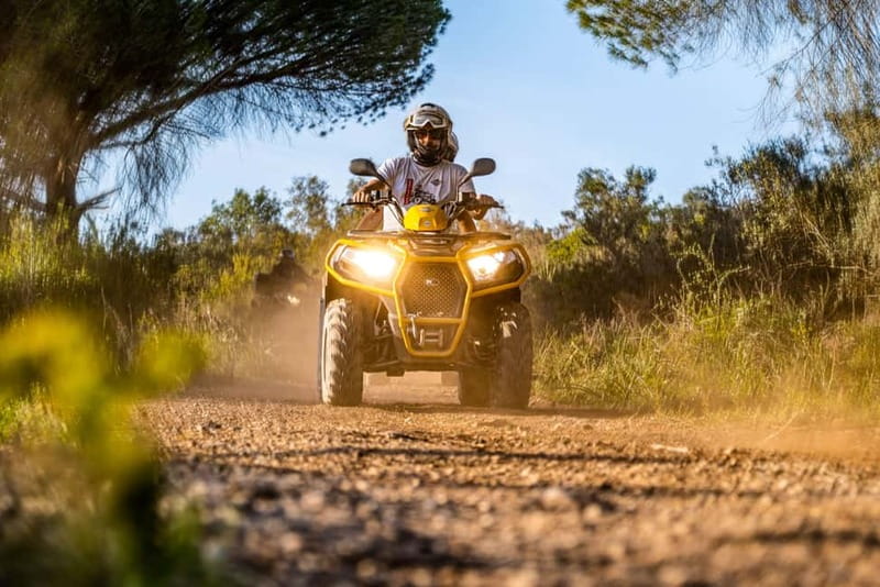 From Albufeira: Full-Day Off-Road Quad Tour - The off-road part: terrains, crossings, and the views