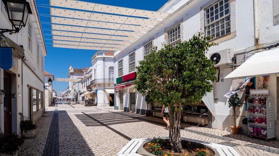 From Albufeira: Full-Day Tour of Algarve Eastern's Finest - Olhão Market and Town Walk: Local Life, Salt-Air Energy