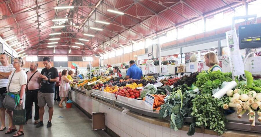 From Albufeira: Full-Day Tour of Algarve Eastern's Finest - Price and Value: Is $76 a Good Deal?