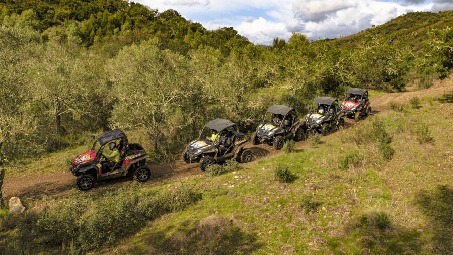 From Albufeira: Half-Day Buggy Adventure Tour - The Goji farm stop: why it’s more than a break
