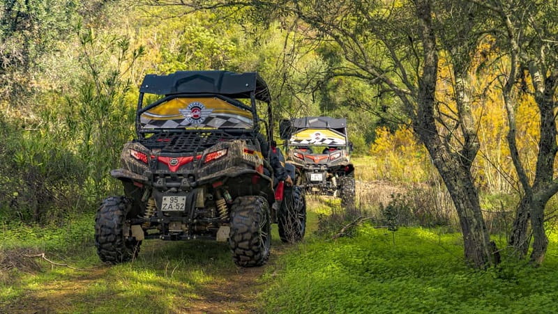 From Albufeira: Half-Day Buggy Adventure Tour - Price and value: what $209 per group up to 2 really buys