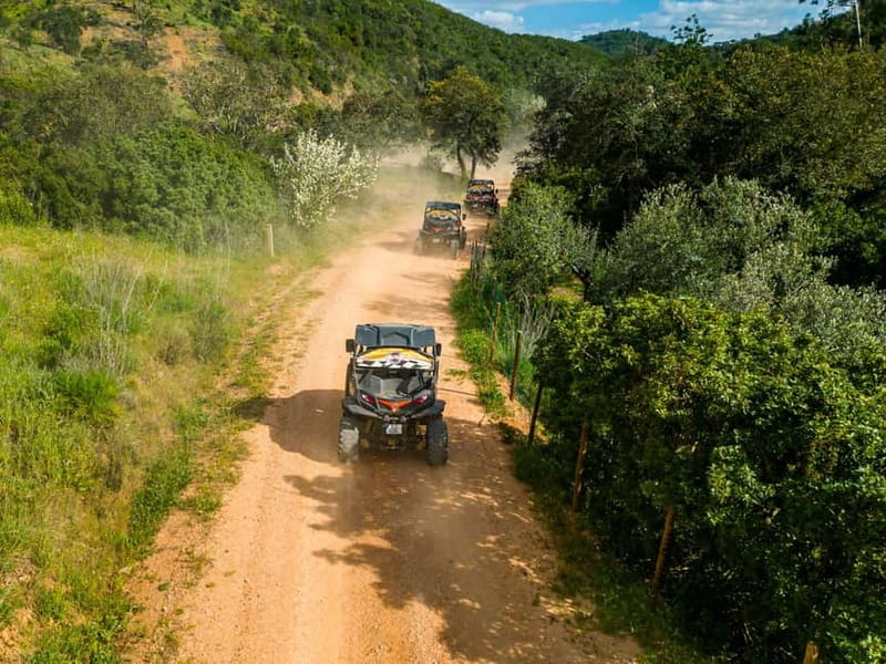 From Albufeira: Half-Day Buggy Adventure Tour - Safety and eligibility: who should go (and who should skip)