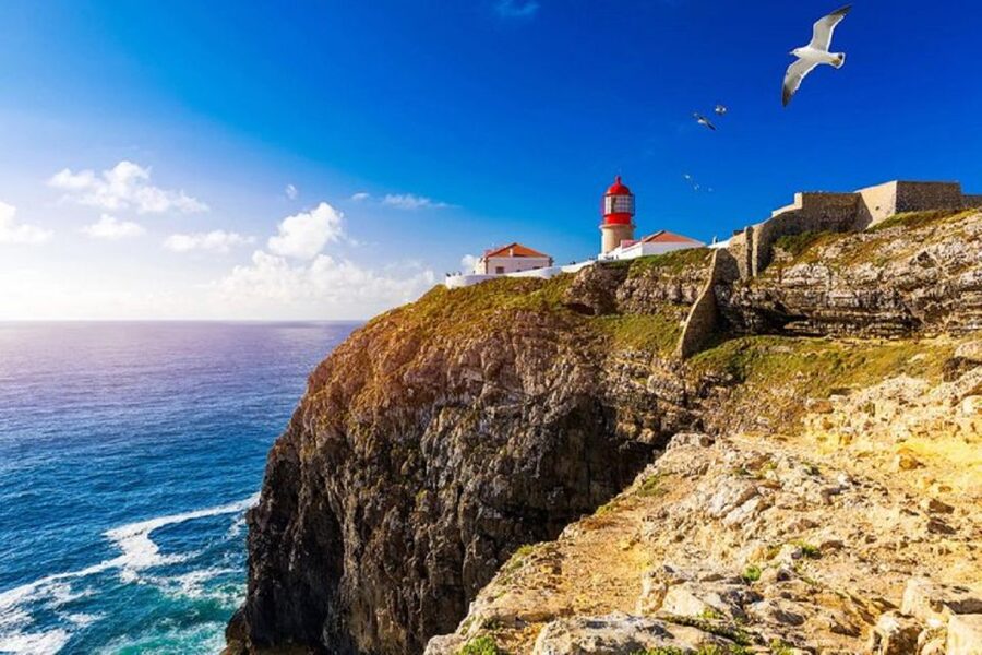 From Albufeira: Half-Day Lagos & Sagres Highlights Tour - Key highlights you’ll feel during the tour