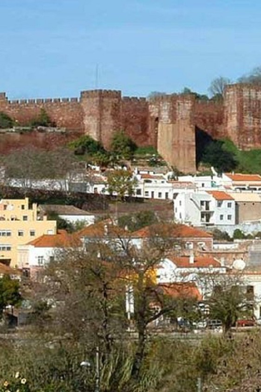From Albufeira: Half-Day Silves & Monchique Highlights Tour - Monchique: The Drive Inward and the Change in Scenery