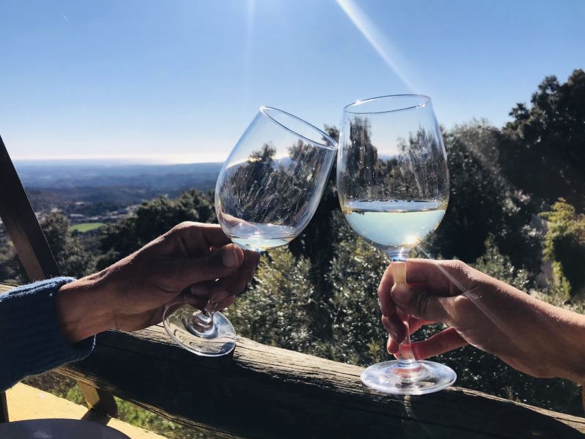 From Albufeira: Wine Tasting & Historic Silves Tour - Albufeira to Silves: the countryside reset that actually pays off