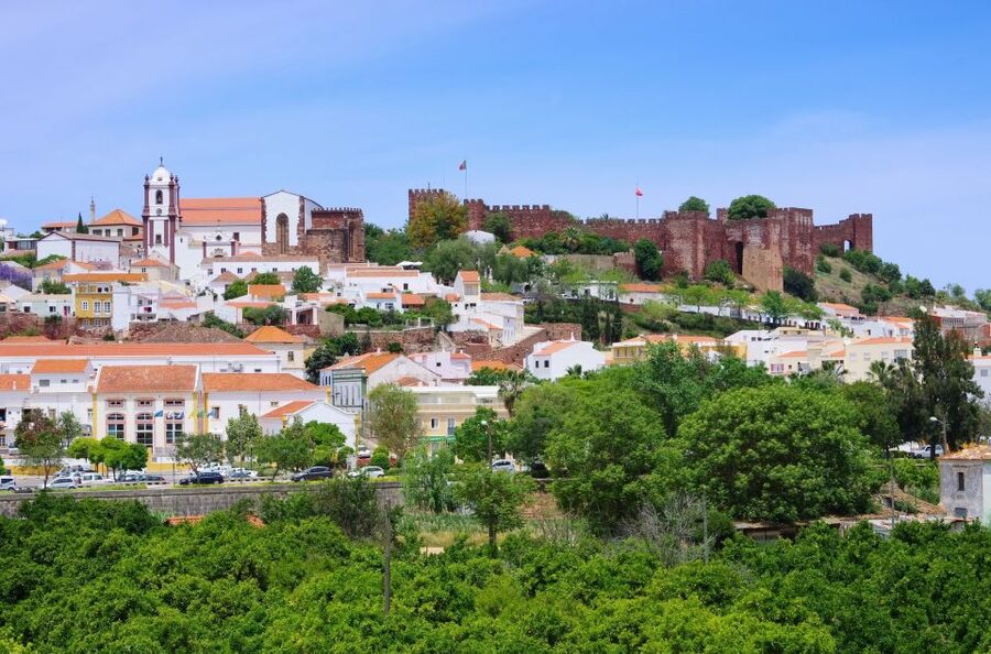 From Albufeira: Wine Tasting & Historic Silves Tour - Family Winery Time: vines, cellar stories, and grape-to-glass context