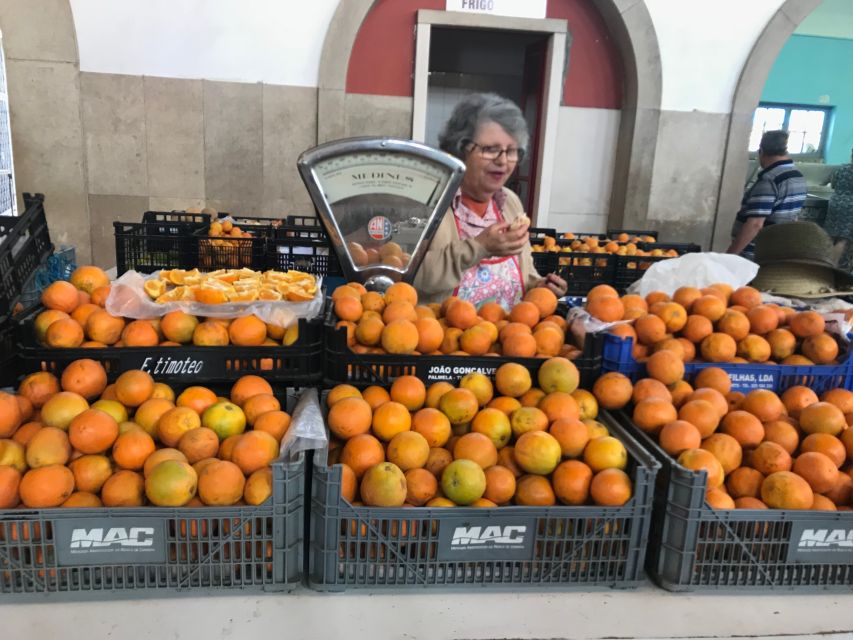 From Albufeira: Wine Tasting & Historic Silves Tour - The 3-Wine Tasting + regional snacks: what you’re really paying for
