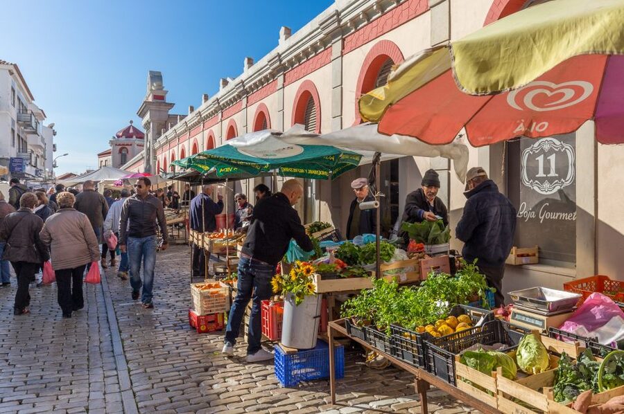 From Algarve Coast: Day Trip by Bus to Loule Market - The Market Hall: Flowers, Honey, Vegetables, and the Stuff People Actually Buy