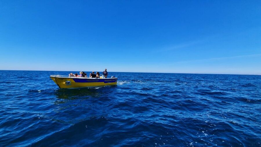 From Benagil: Benagil Cave & Marinha Beach Express Tour - A 30-Minute Boat Plan That Still Hits the Big Names