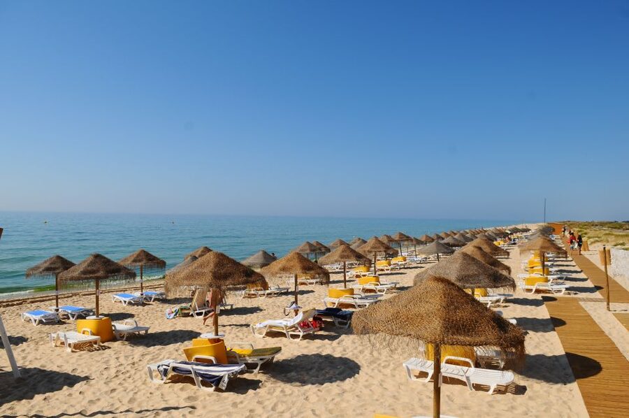 From Cabanas de Tavira: Octopus Route - Who This Tour Fits Best (and Who Might Prefer Something Else)