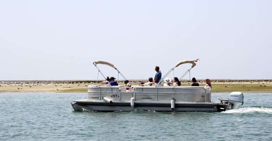 From Faro: 2-Hour Guided Bird Watching Boat Trip - What’s included (and why it makes the trip better value)