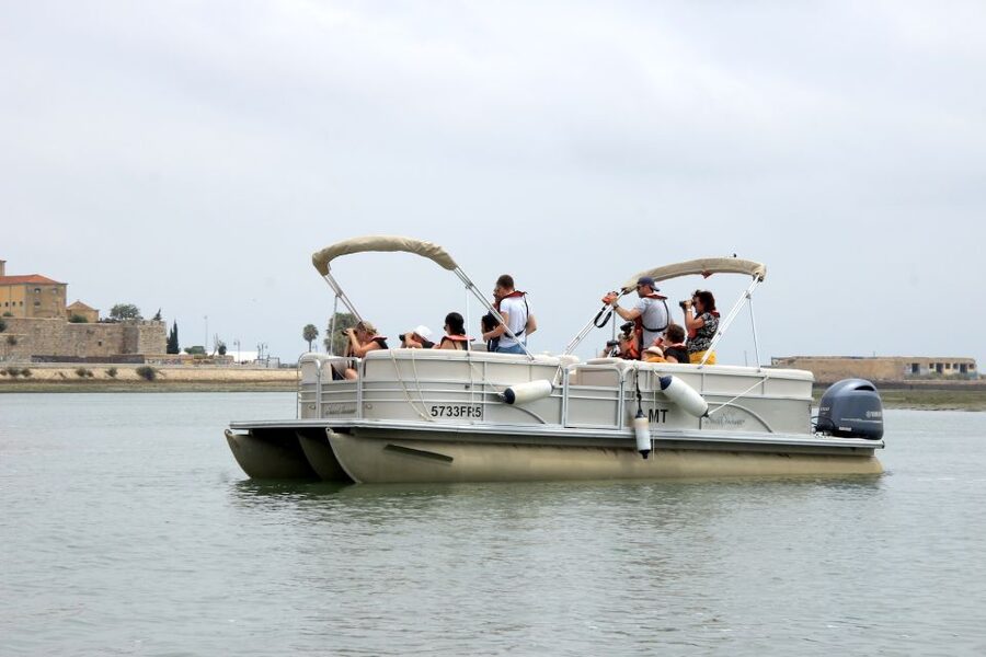 From Faro: 2-Hour Guided Bird Watching Boat Trip - What to wear and bring for comfortable birding
