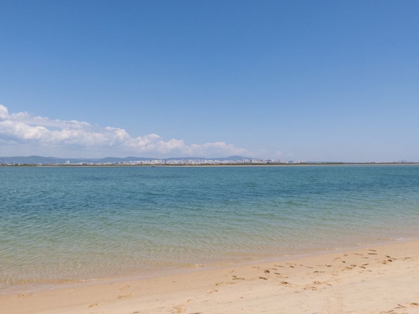 From Faro: 2-Hour Guided Bird Watching Boat Trip - From Formosamar in Faro: what the start feels like