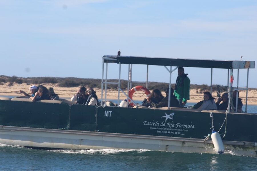 From Faro: 2-Island, 2-Stop Ria Formosa Catamaran Tour - First cruise segment: Parque Natural da Ria Formosa (about 30 minutes)