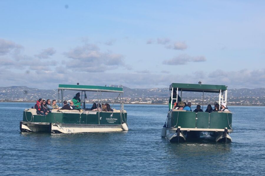 From Faro: 2-Island, 2-Stop Ria Formosa Catamaran Tour - The meet-up at Porta Nova: plan for simple and fast