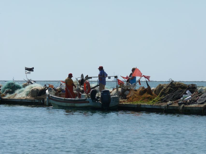 From Faro: 4 Stops, 3 Islands in Ria Formosa Catamaran Tour - Price and Value at About $47: What You’re Really Buying