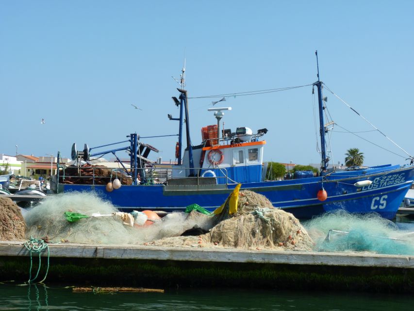 From Faro: 4 Stops, 3 Islands in Ria Formosa Catamaran Tour - Passing the Cape of St. Mary: Quick Views, Good Background