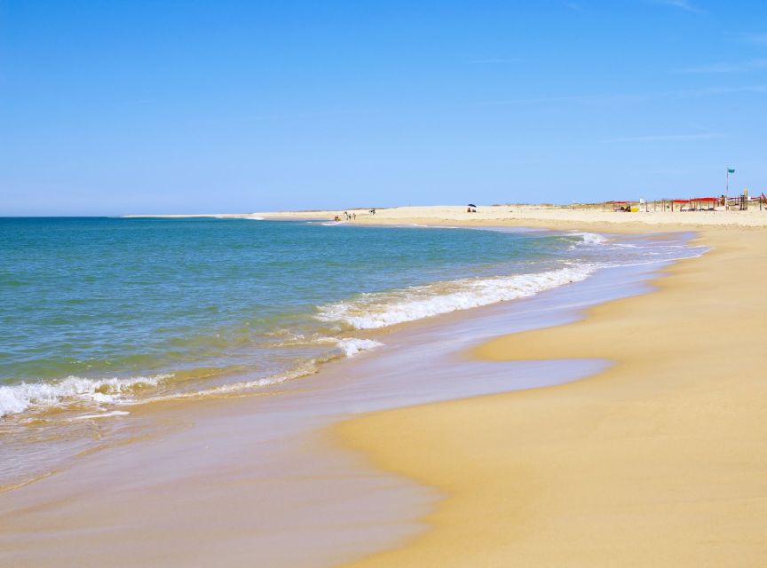 From Faro: 4 Stops, 3 Islands in Ria Formosa Catamaran Tour - Oyster Farming at the Hangares: How Food Grows From the Park