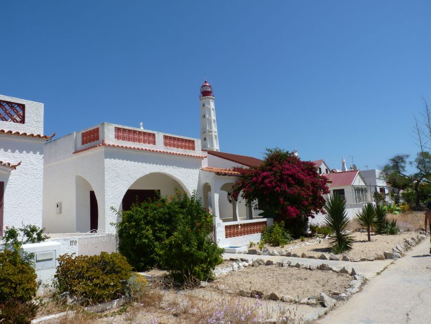From Faro: 4 Stops, 3 Islands in Ria Formosa Catamaran Tour - The Tour Pace: Walking, Weather, and Comfort Reality