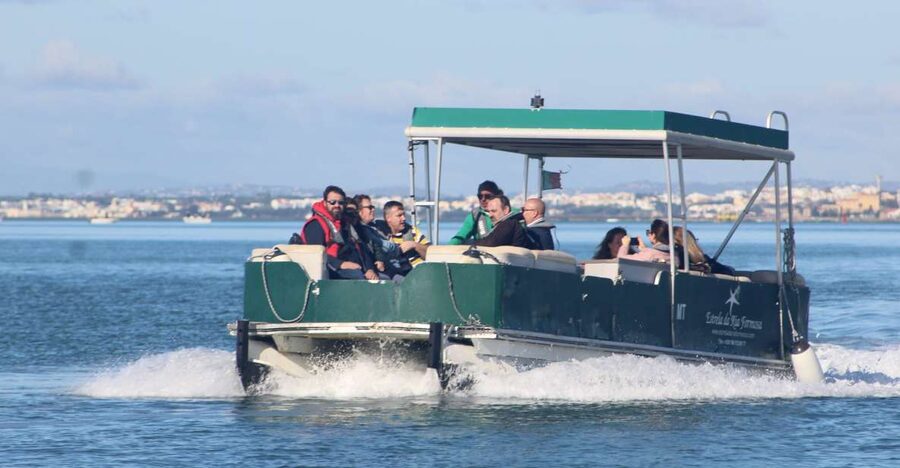 From Faro: 4 Stops, 3 Islands in Ria Formosa Catamaran Tour - Ilha Deserta Stop: The 45 Minutes That Make People Book Again