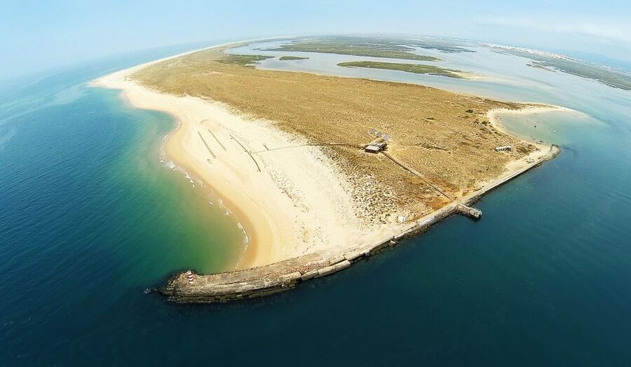 From Faro: Catamaran Boat Trip to Deserta Island with Stop - Ilha Deserta free time: beaches, dunes, and the 2 km boardwalk