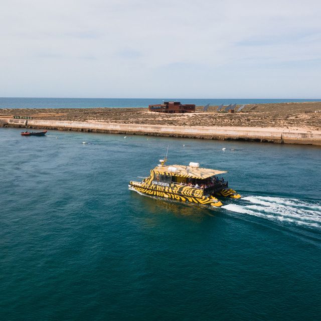 From Faro: Catamaran Boat Trip to Deserta Island with Stop - Meeting Point in Faro: Porta Nova pier setup
