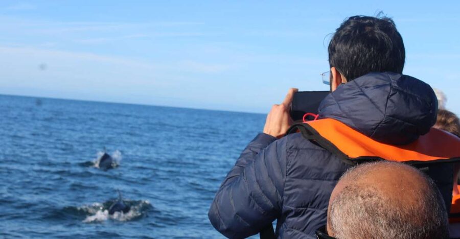 From Faro: Dolphin Watching & 2 Islands Tour - Heading out on the Atlantic: how dolphin spotting really works