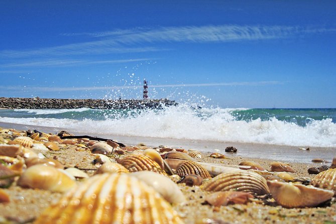 From Faro: Ria Formosa Eco Tour guided by Marine Biologist - Why Ria Formosa and Ilha Deserta are worth a day from Faro