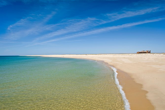From Faro: Ria Formosa Eco Tour guided by Marine Biologist - Cabo Santa Maria: a walk that gives context to the beach