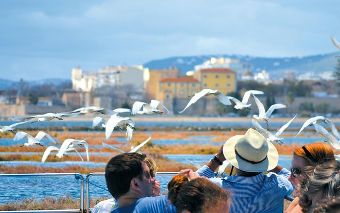 From Faro: Ria Formosa Eco Tour guided by Marine Biologist - Lunch at Estaminé: Algarve food without the planning stress