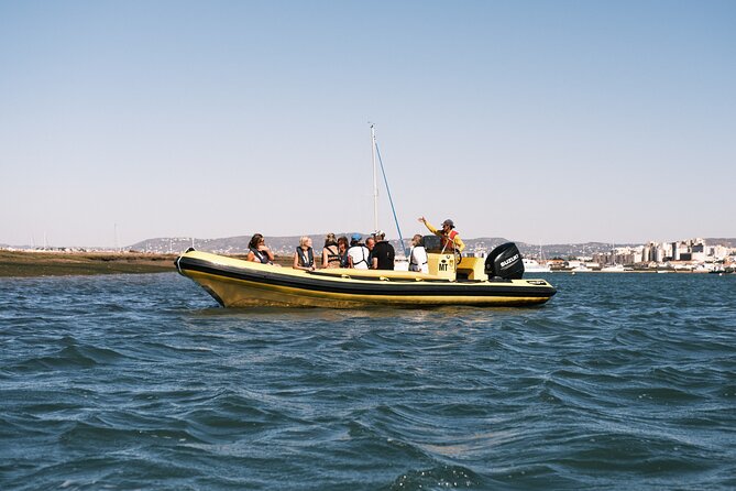 From Faro: Ria Formosa Eco Tour guided by Marine Biologist - Getting to Cais da Porta Nova (and not wasting time)