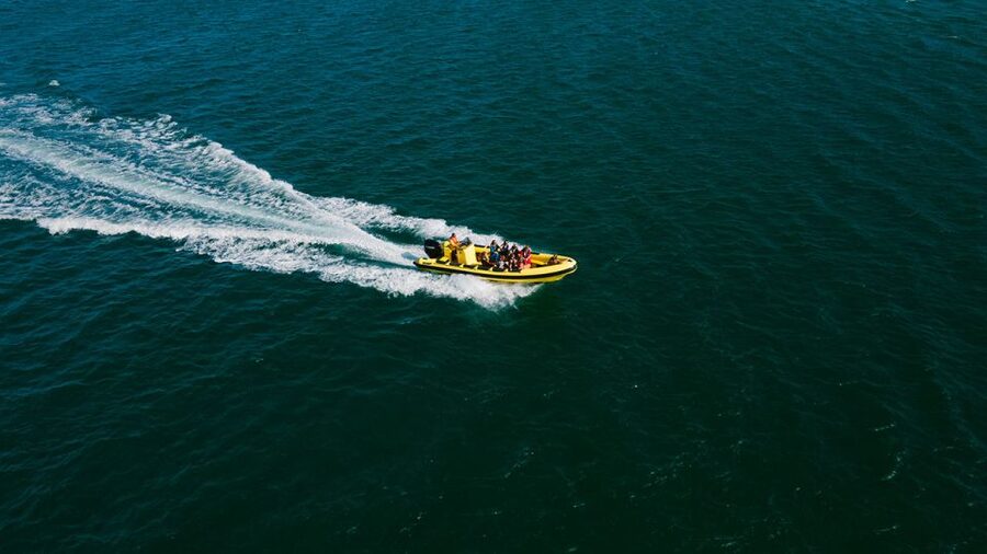 From Faro: Ria Formosa Hop-On Hop-Off 3 Islands Cruise - Key highlights to know before you go