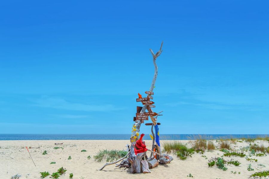 From Faro: Ria Formosa Hop-On Hop-Off 3 Islands Cruise - Practical tips that make this day go smoothly