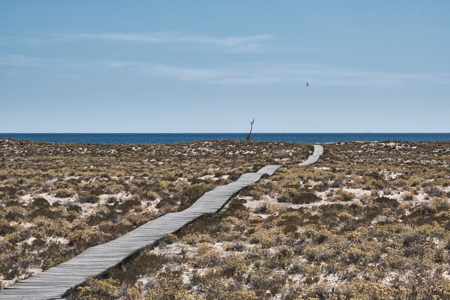 From Faro: Ria Formosa Hop-On Hop-Off 3 Islands Cruise - Who this cruise fits best (and who may want something else)