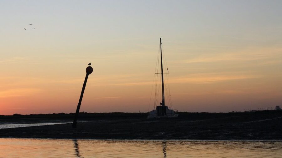 From Faro: Ria Formosa Sunset Boat Trip - Your skipper and live commentary: why the guides make or break the trip