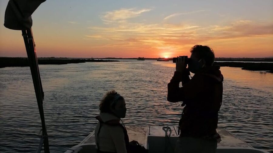 From Faro: Ria Formosa Sunset Boat Trip - What to wear and bring so the hour feels effortless