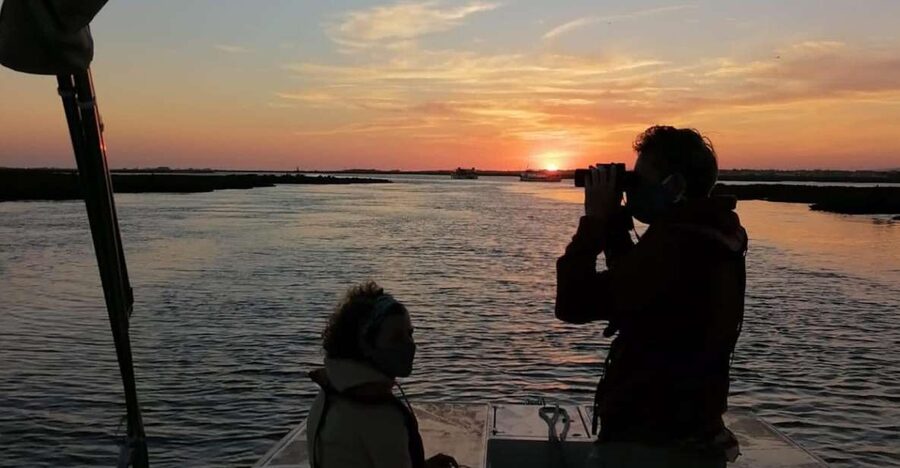 From Faro: Ria Formosa Sunset Boat Trip - The one-hour pontoon ride: what the timing feels like