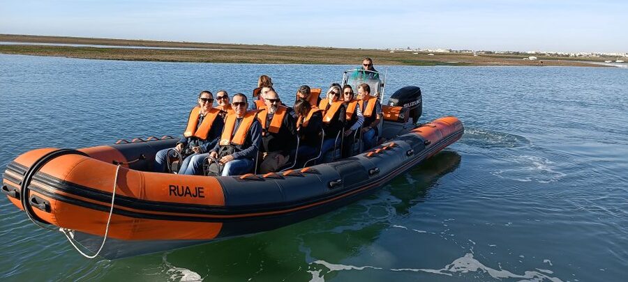 From Faro: Wildlife and Dolphin-Watching Speedboat Tour - Cape Santa Maria (St. Mary): Where the Atlantic and Rio Formosa Meet