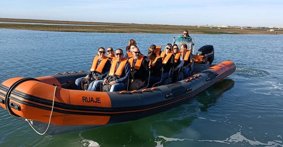 From Faro: Wildlife and Dolphin-Watching Speedboat Tour - The Skipper and Marine Biologist Factor: Learning Without Lectures