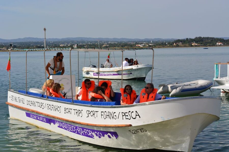 From Fuzeta: 2-Hour Southeast Ria Formosa Boat Trip - Leaving Fuseta: what the cruise section is really about