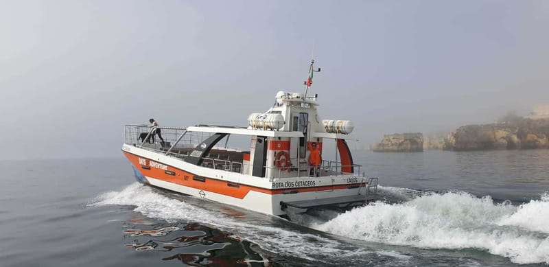 From Lagos: Benagil Caves Catamaran Cruise - Price and value: is $38 really fair for this cruise?