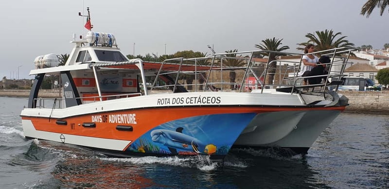 From Lagos: Benagil Caves Catamaran Cruise - Crowds, timing, and how to reduce the squeeze