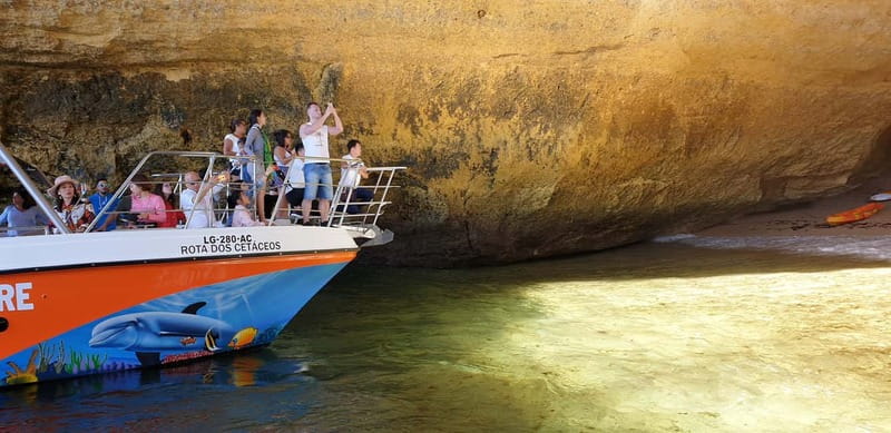 From Lagos: Benagil Caves Catamaran Cruise - Meeting point in Lagos: what “VIP” means in practice