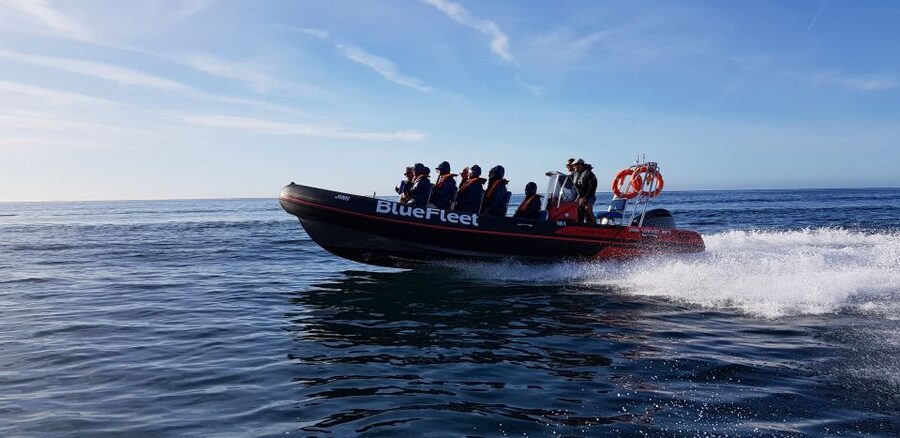 From Lagos: Boat Cruise to Benagil - Key highlights that matter