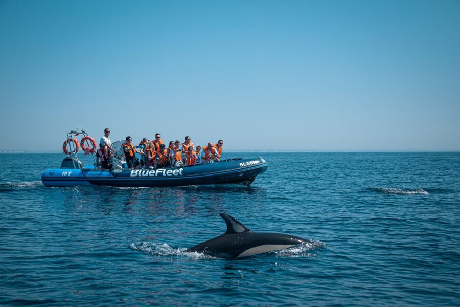 From Lagos: Dolphin Watching Boat Trip w/Marine Biologists - Getting started at the Lagos meeting point